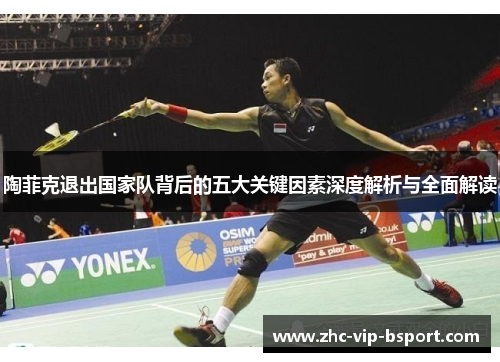 陶菲克退出国家队背后的五大关键因素深度解析与全面解读 陶菲克退出国家队背后的五大关键因素深度解析与全面解读